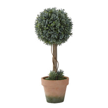 Load image into Gallery viewer, 4-1/4&quot; Round x 11&quot;H Faux Boxwood Single Ball Topiary in Clay Pot